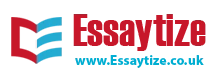 Essaytize logo